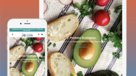 Untitled design (52)